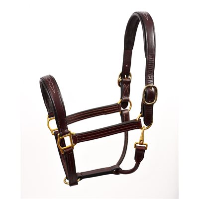 Leather Padded Halter best for Horse