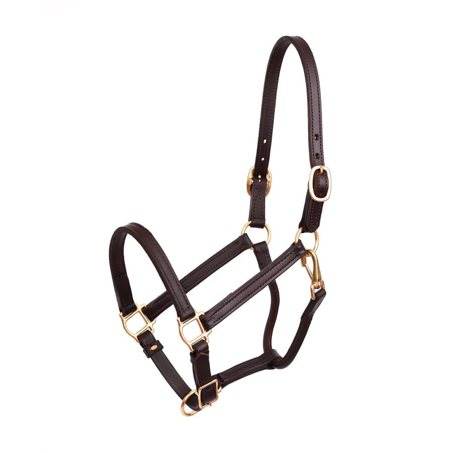 Details about   Tack-Store Fancy stitching Padded Leather Horse Halter /Headcollar 