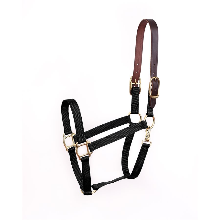 Economy 1 Adjustable Nylon Halter, Lightweight Bronze Hardware - Horse  Tack & Supplies