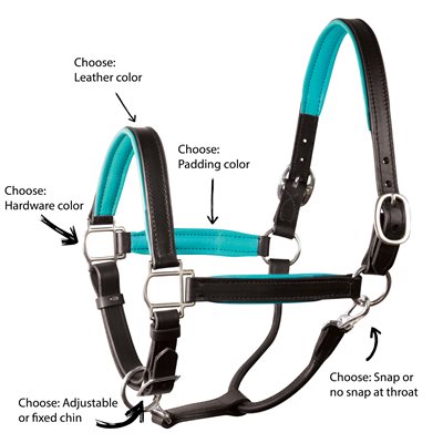 Leather Breakaway Crown Majestic Ally Leather Halter with Matching Lead Rope for Horses Padded Noseband Adjustable Chin Strap Full Rolled Throat Latch