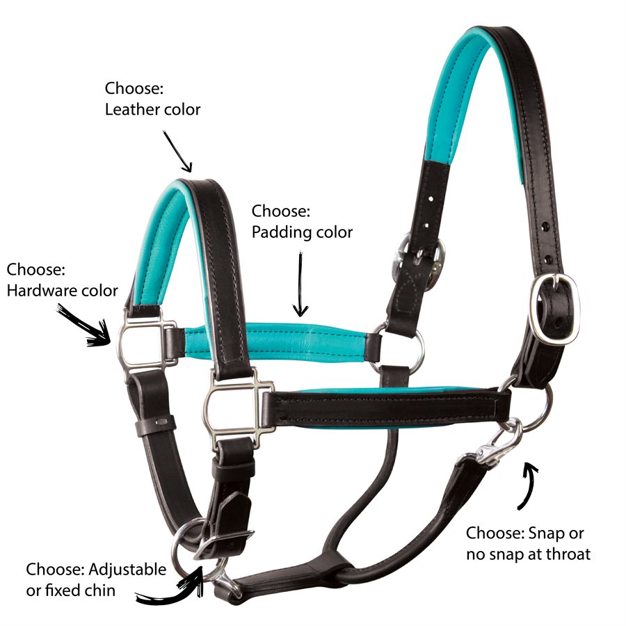 Perri's Leather Stable Halter with NAMEPLATE