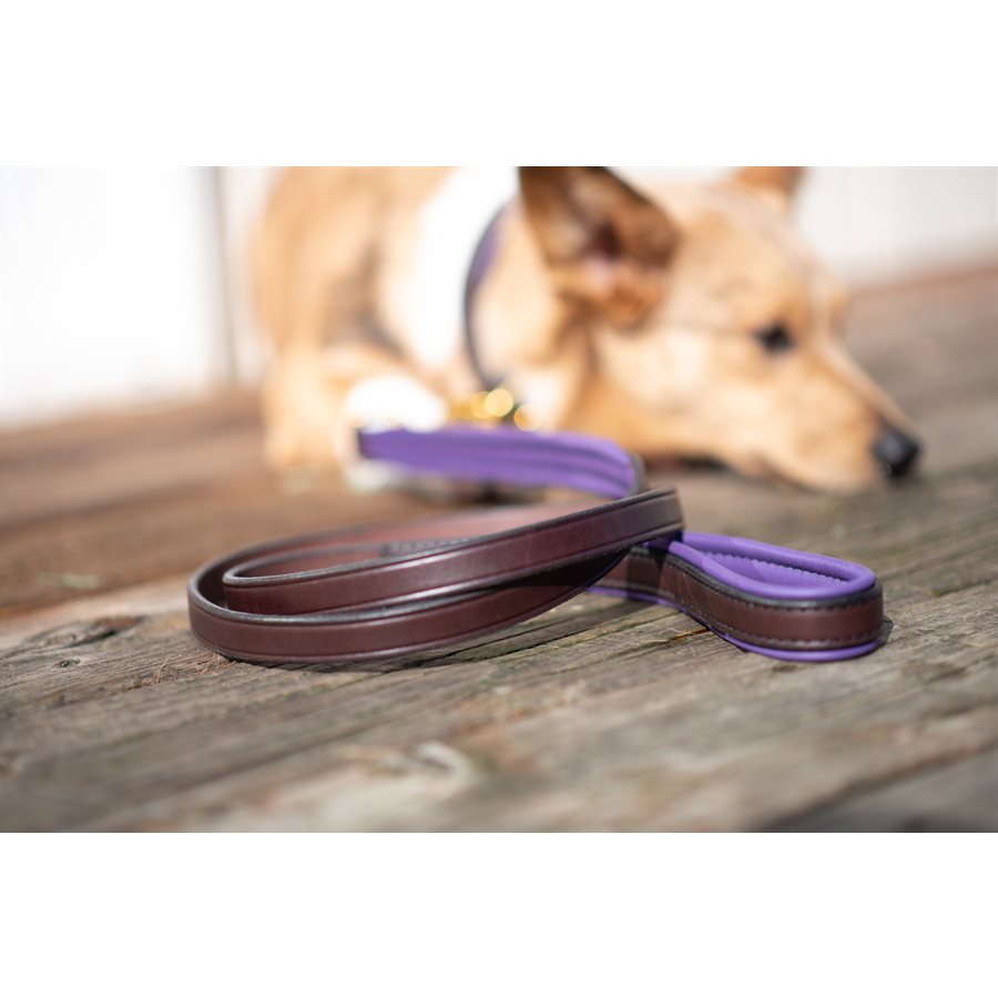 Perri's Custom Padded Dog Collar