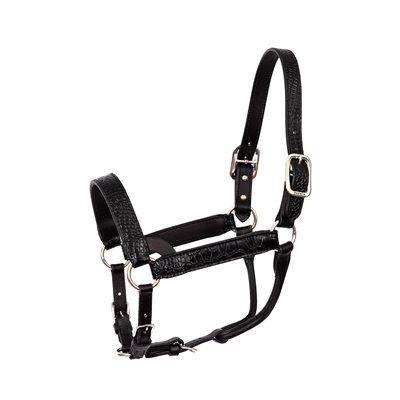 Licou Western Show En Cuir Avec Accents Argent - Très Bon état - Cheval