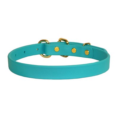 turquoise dog collar