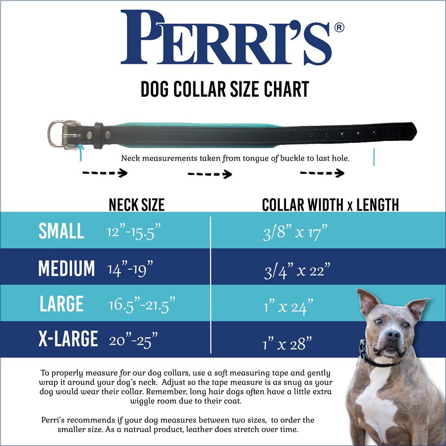 Perri's Personalized Unpadded Dog Collar with Name Plate - Equus Now!