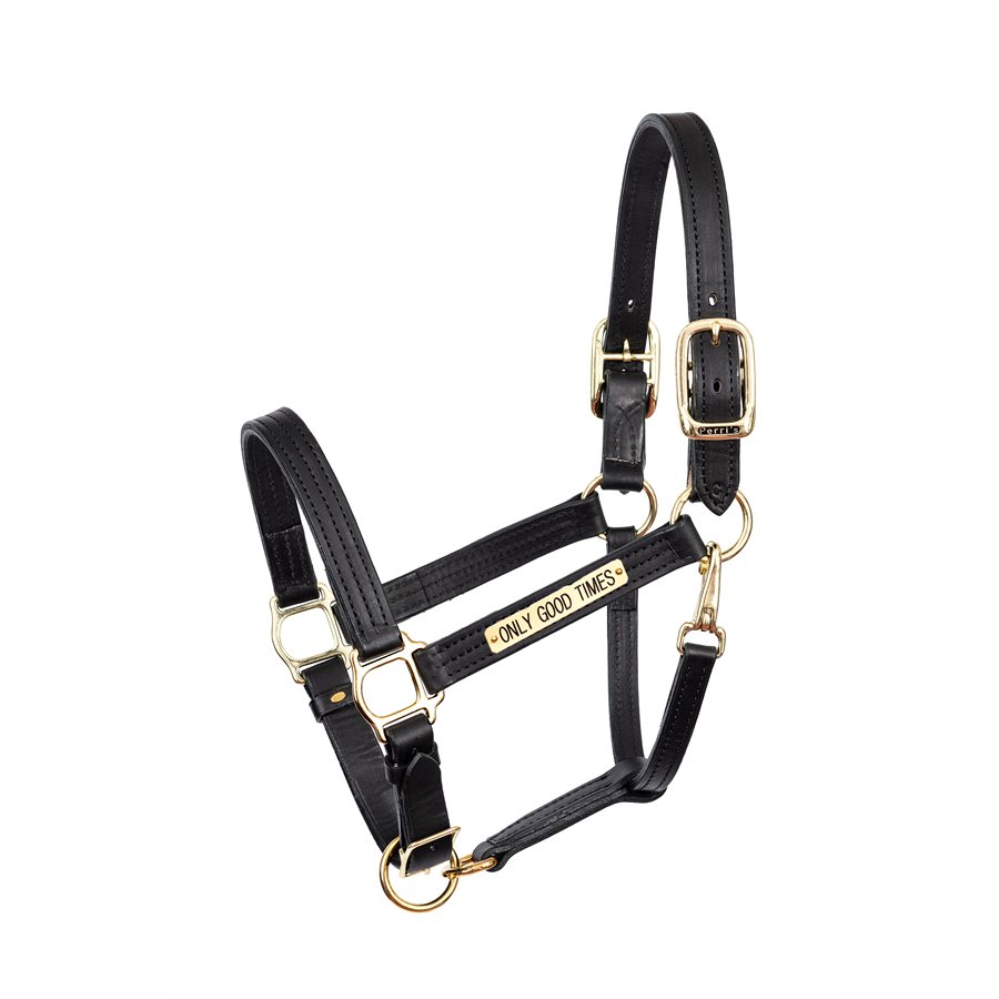 Leather Horse Halters - Perri's Leather