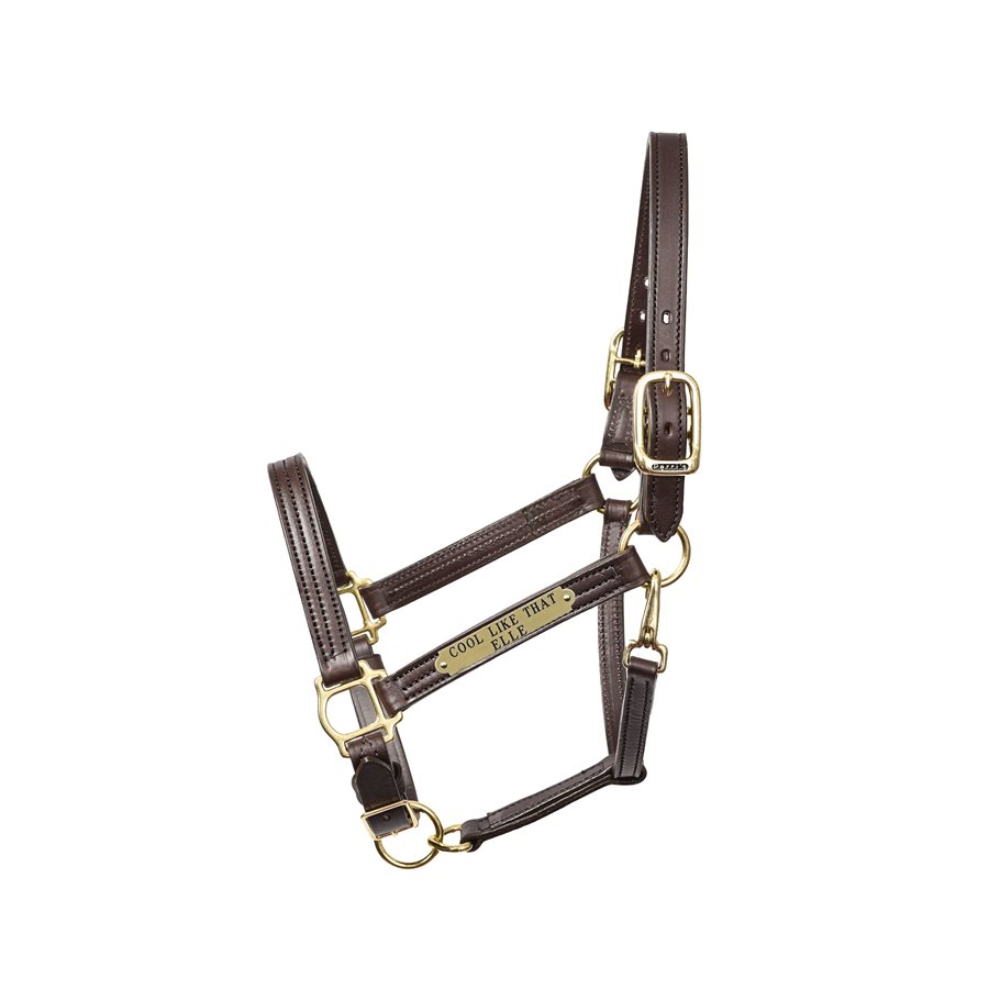 Shires Capezzina Velociti Rapida In Pelle - Per Pony E Cavalli