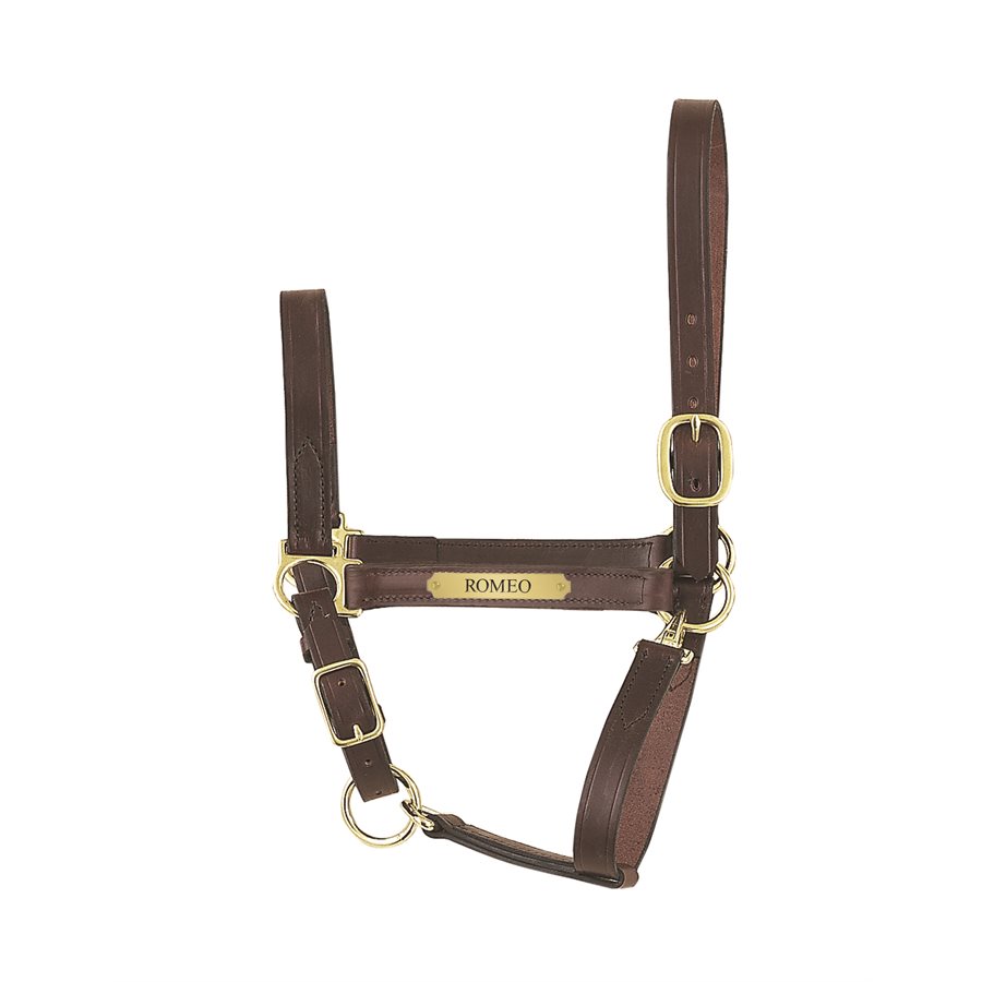 Leather Halter with Engraved Plate - Custom Engraving — JC