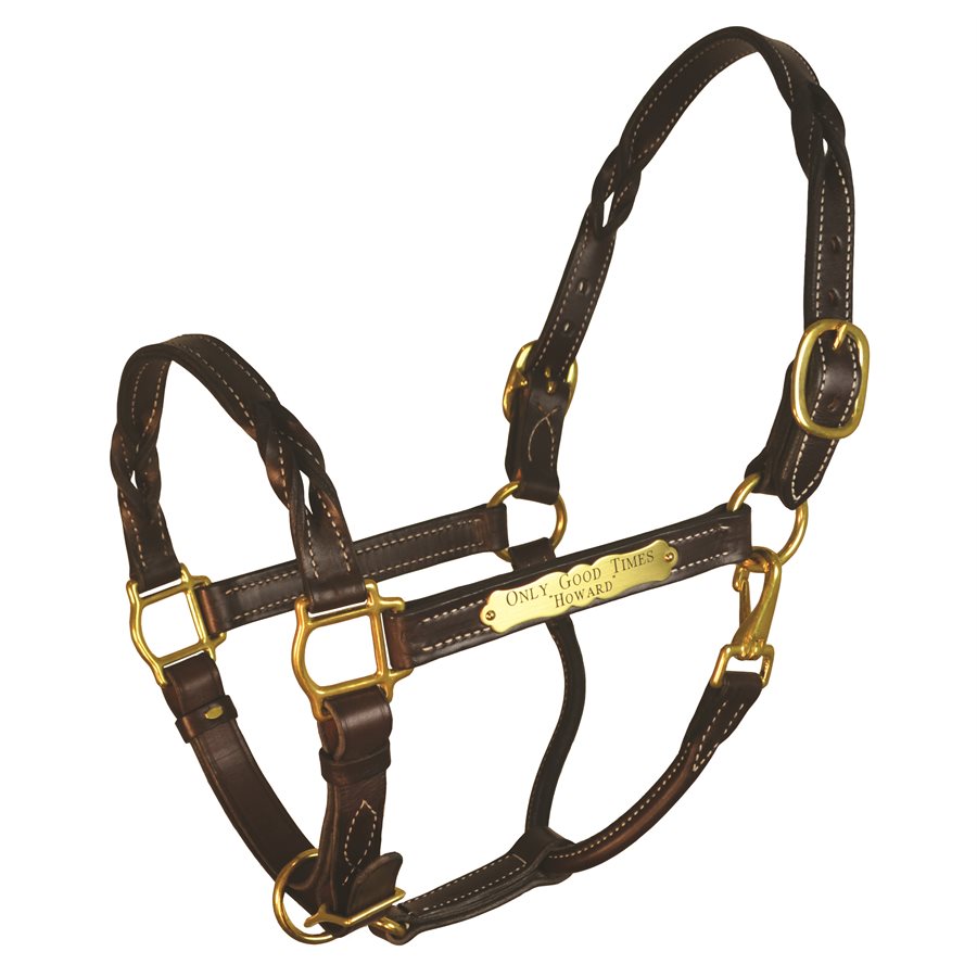 Perri's Triple Stitched Leather Halter with Nameplate, Horse Size