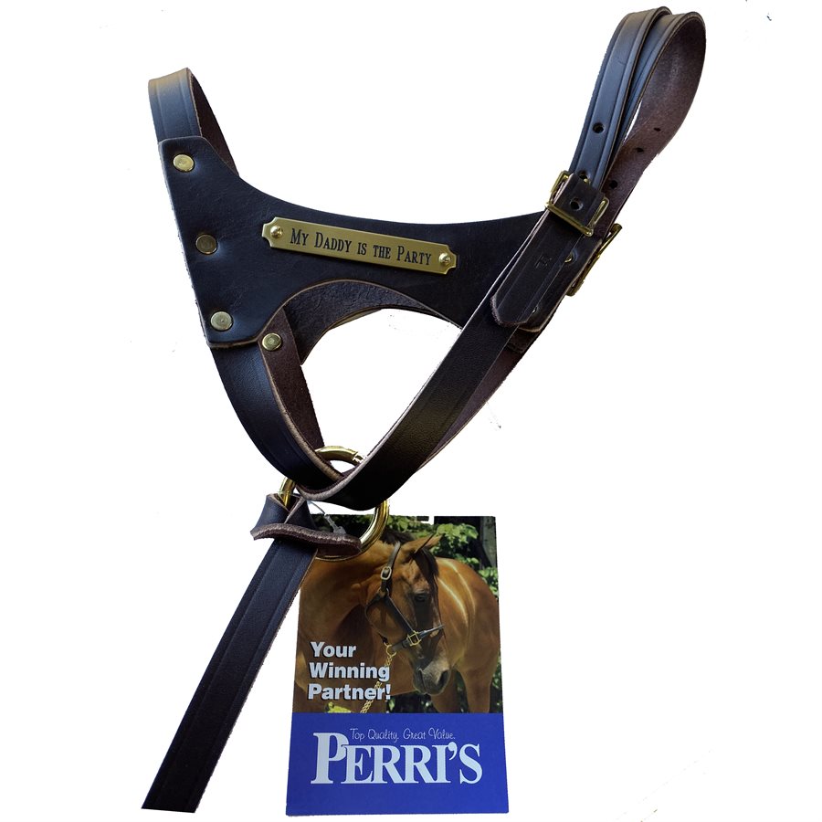 Leather Horse Halters - Perri's Leather