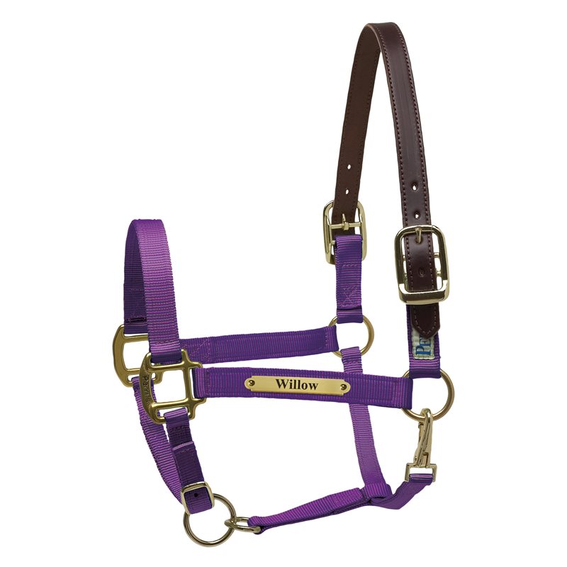 Nylon Horse Halters Perri's Leather