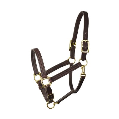 1" COB HAVANA TURNOUT HALTER