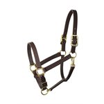 1" COB HAVANA TURNOUT HALTER