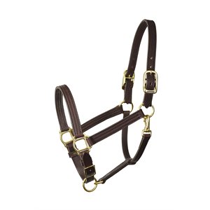 1" HORSE HAVANA TURNOUT HALTER