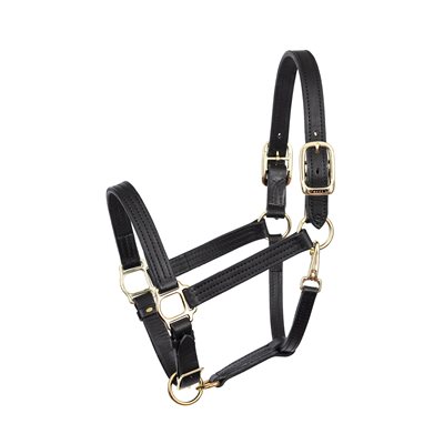DRAFT BLACK TURNOUT HALTER