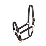 1" LEATHER TURNOUT HALTER