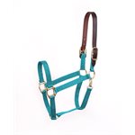 ECONOMY SAFETY HALTER