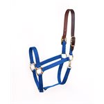 ECONOMY PONY ROYAL BLU SAFETY HALTER