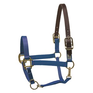 COB ROYAL BLUE SAFETY HALTER