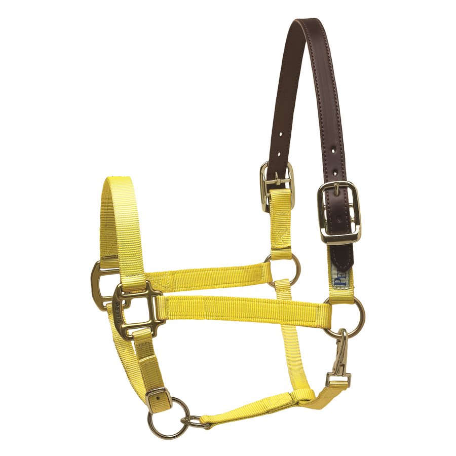 HORSE YELLOW SAFETY HALTER