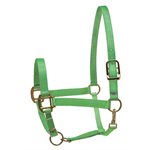 CLOSEOUT COB LIME NYLON SUPERHALTER