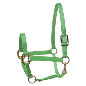 CLOSEOUT COB LIME NYLON SUPERHALTER