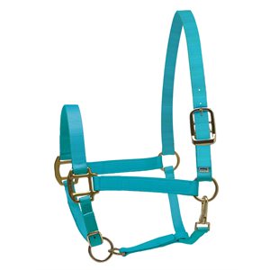 HORSE TURQUOISE NYLON SUPERHALTER