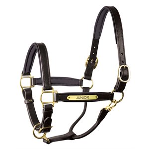 HORSE BLACK / BLACK BRASS PADDED LEATHER HALTER W / PLATE