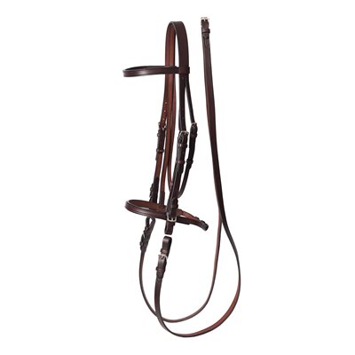 bridle leather patina
