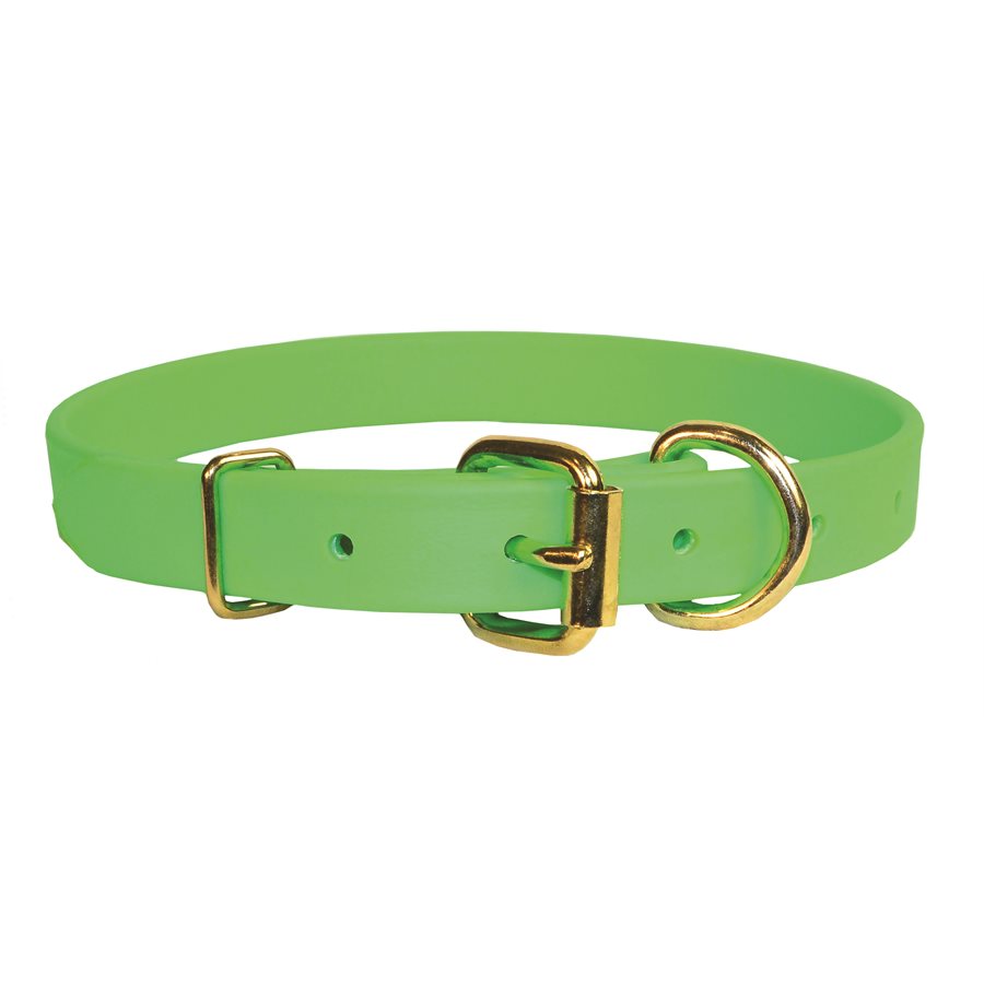 MEDIUM LIME GREEN BETA DOG COLLAR