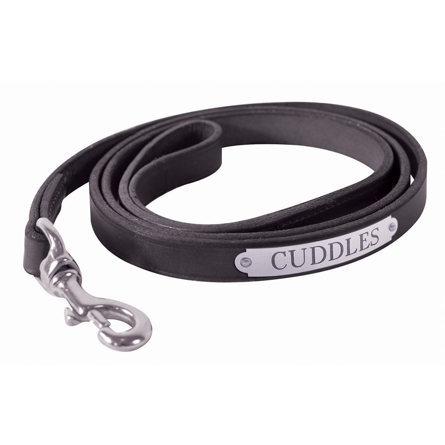 BLACK LEATHER DOG LEASH W / PLATE