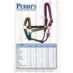 1" COB HAVANA TURNOUT HALTER