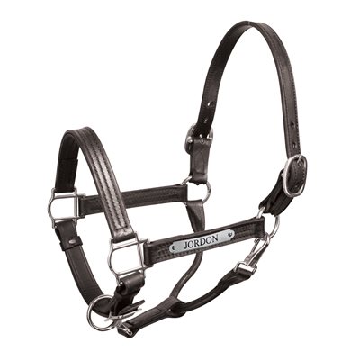 Personalized Engraved Leather Horse Halters - Perri's Leather