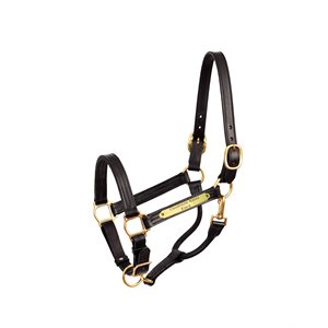 BLACK HORSE PREMIUM 1" SHOW HALTER W / PLATE