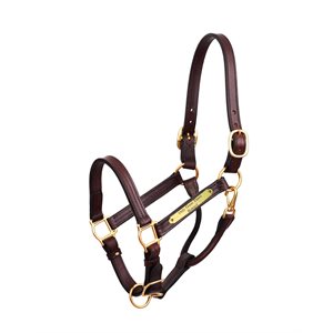 HAVANA HORSE PREMIUM 1" SHOW HALTER W / PLATE