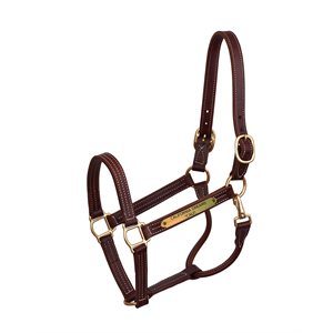 PERRI'S PROFESSIONAL HALTER W / PLATE