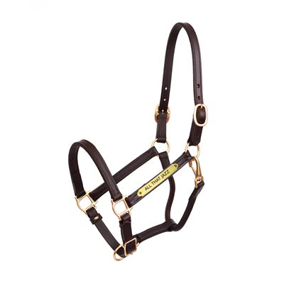 HAVANA COB 3 / 4" PREMIUM SHOW HALTER W / PLATE