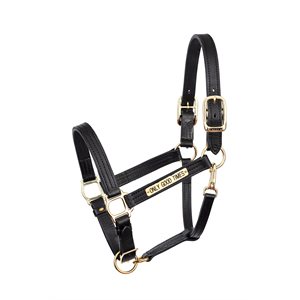 HAVANA COB 1" TURNOUT HALTER W / PLATE