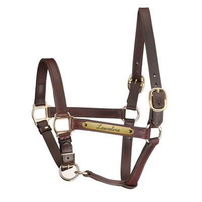 HAVANA COB ADJ CHIN TRACK STYLE HALTER W / PLATE