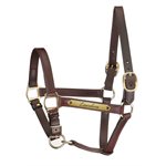 TRACK STYLE HALTER WITH ADJUSTABLE CHIN W / PLATE