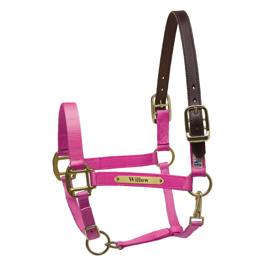 HOT PINK HORSE PREMIUM NYLON SAFETY HALTER W / PLATE KIT